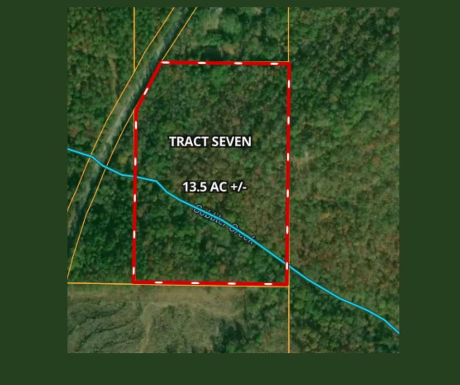 13.5± Acres on County Road 313