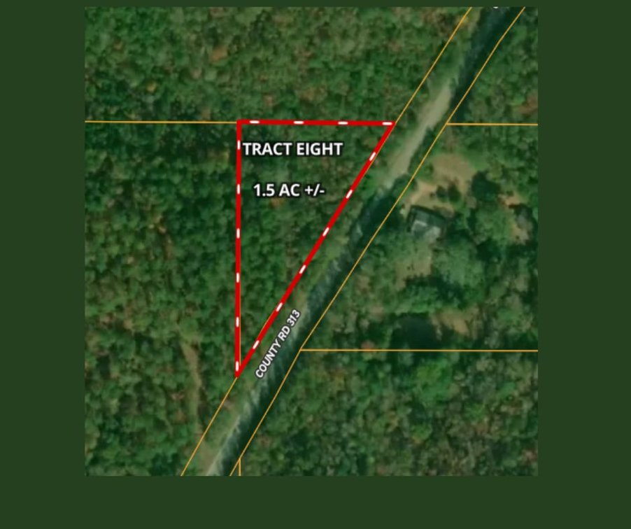 1.5± Acres on County Road 313
