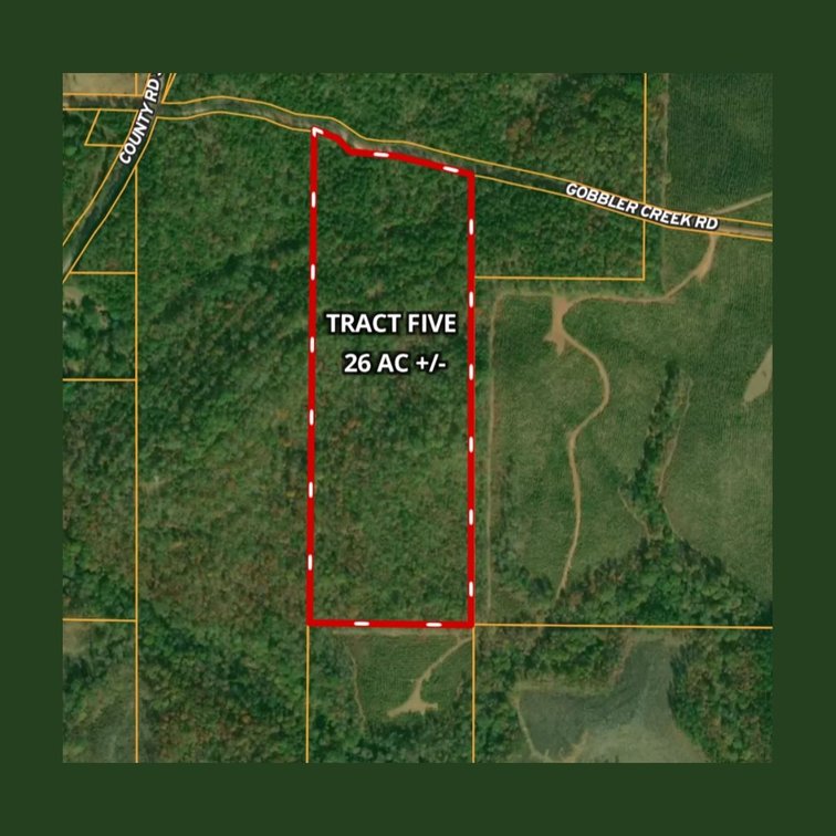 26± Acres on Gobbler Creek Road 