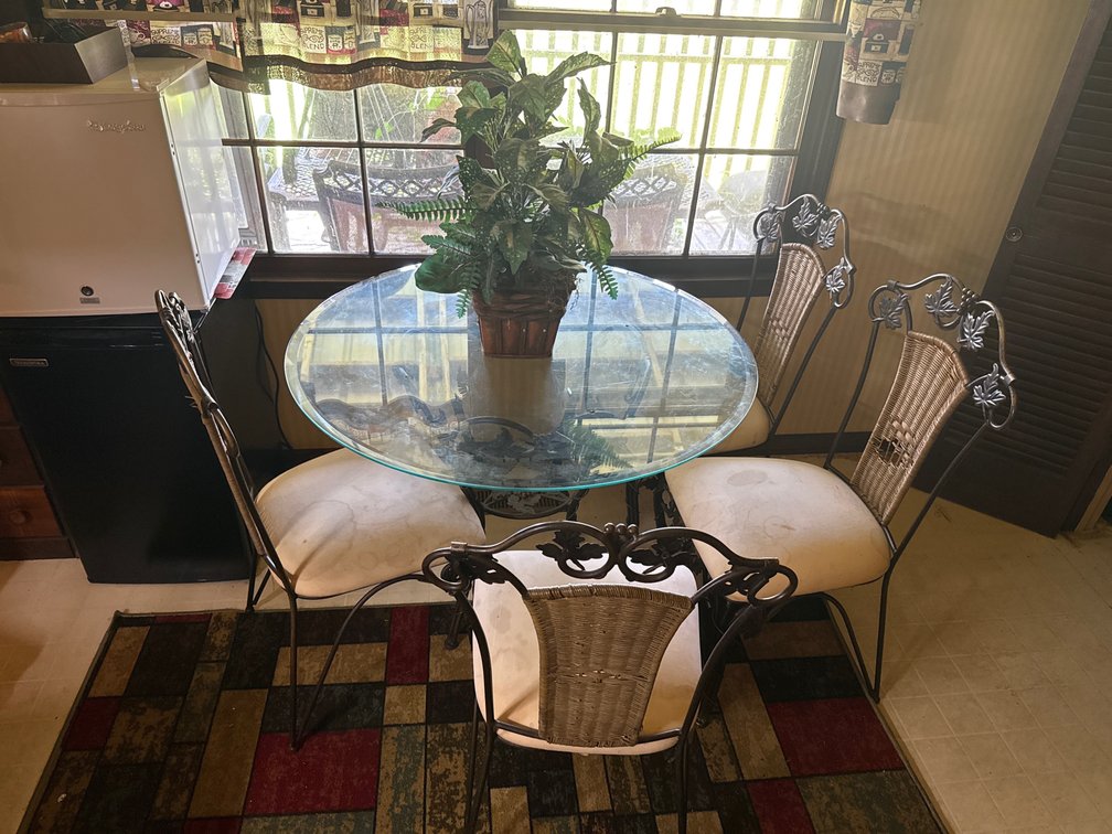 Glass Top Table with 4 Chairs and Decorative Plant