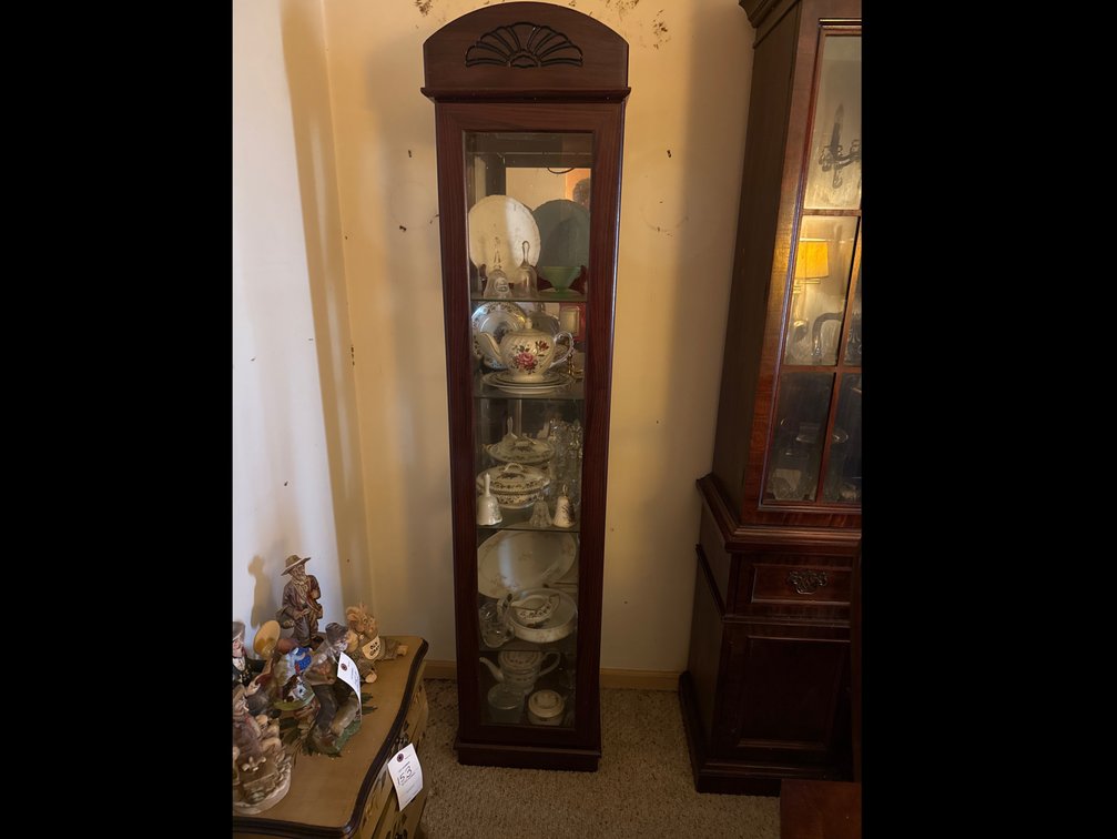 Lighted Display Case ONLY 