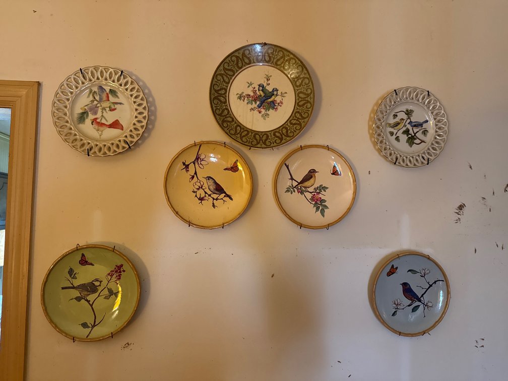 7 Decorative Bird Plates