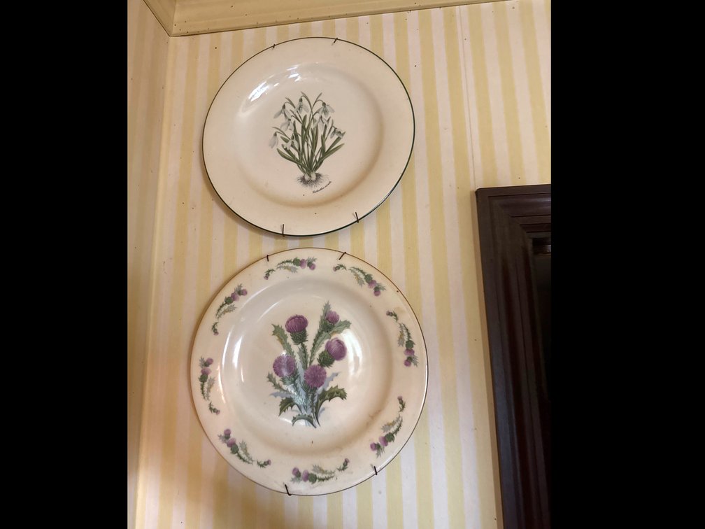 5 Decorative Plates 