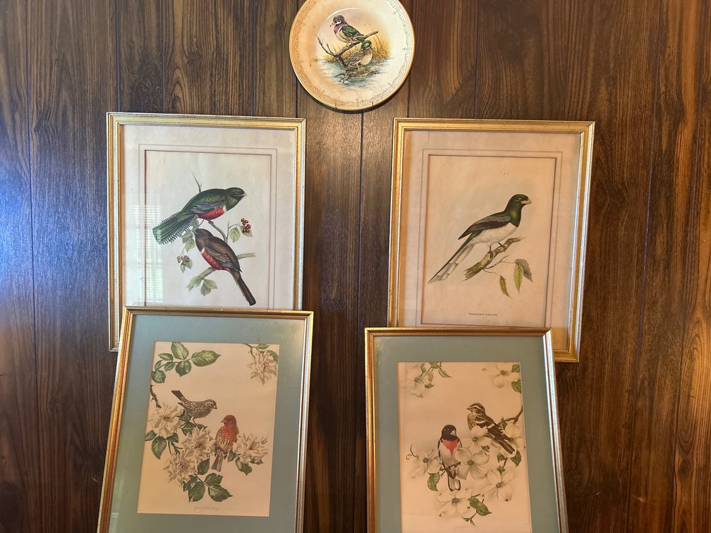 4 Decorative Bird Pictures and Plate