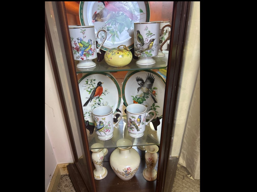 Bird Plates and Cups 