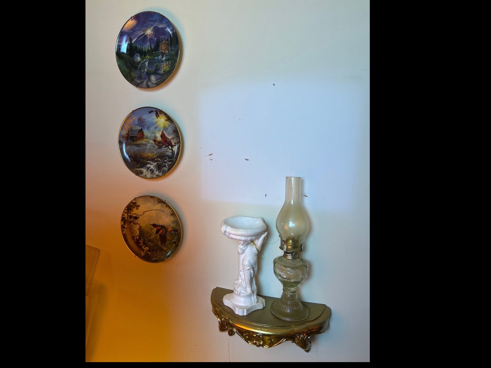 3 Hanging Plates, with Shelf and Contents 