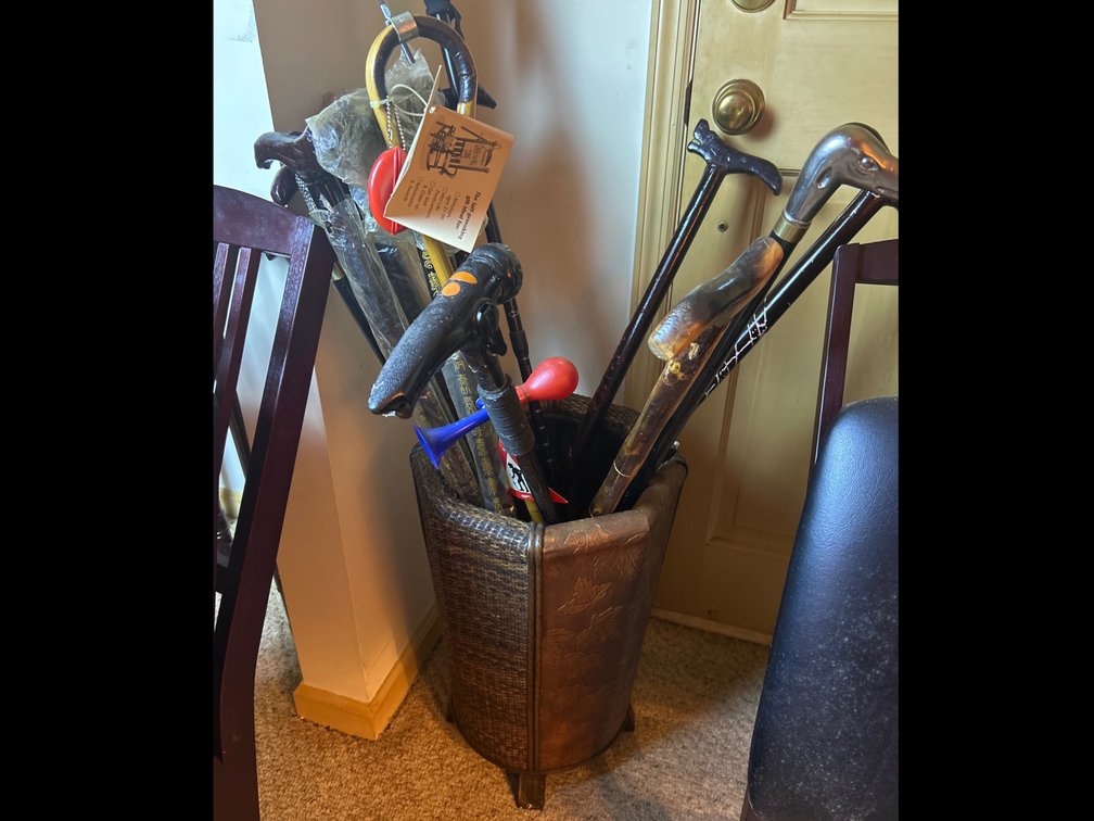 Canes, Walking Sticks with Holder