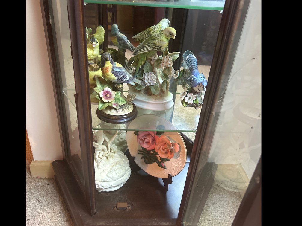 Decorative Birds, Etc.