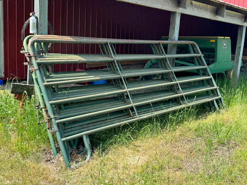 10 @ 12' Cattle Panels