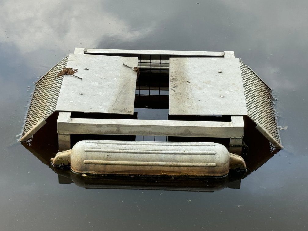 Floating Turtle Trap in Northwest Pond (Buyer Responsible for Retrieving)