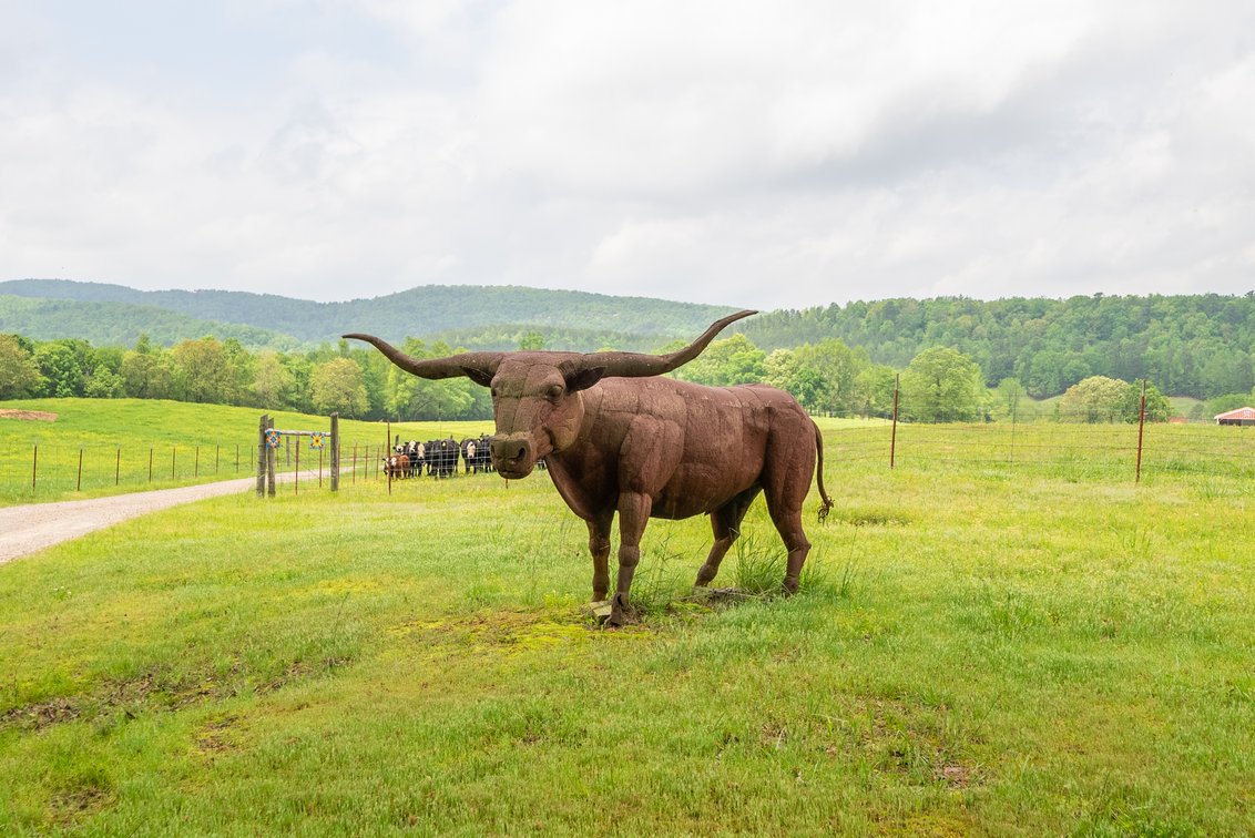 Life Size Hollow Tin Longhorn Bull "Rusty" 