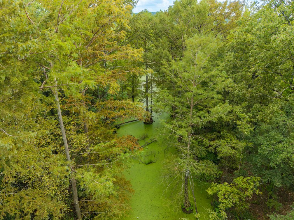 73.59± Acres
