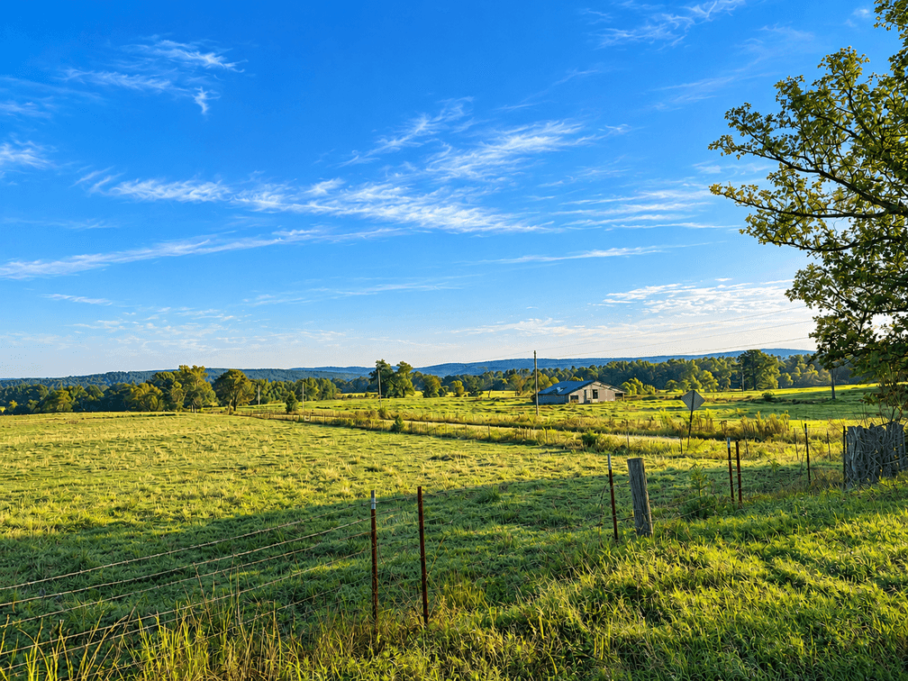 (Tract 4) 85± Acres ~ 12786 Frost Lane, Parks, AR 72950