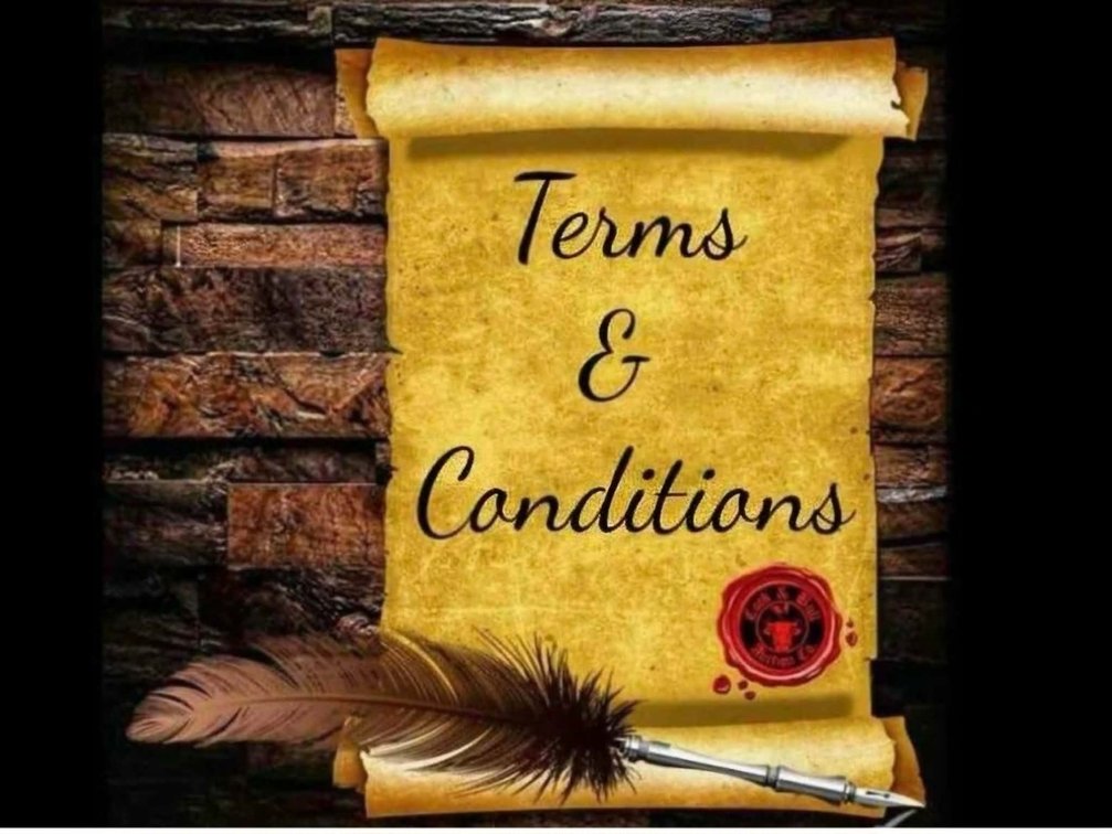 TERMS AND CONDITIONS