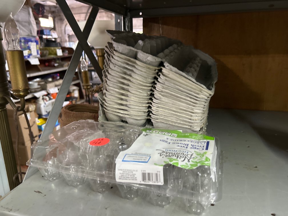 Egg Cartons