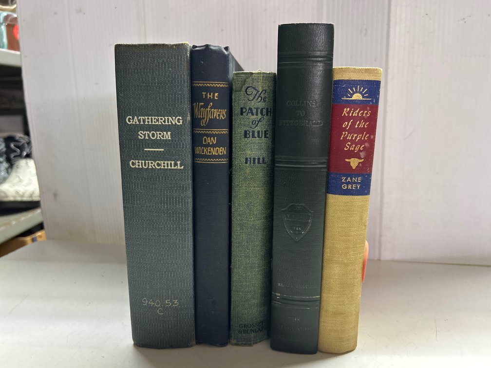 Gathering Storm, The Patch of Blue Books+