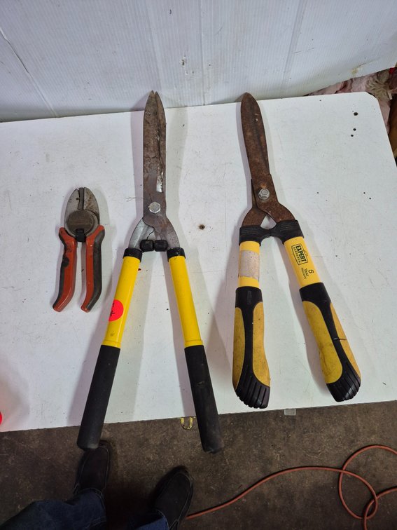 Hedge trimmers and pruner
