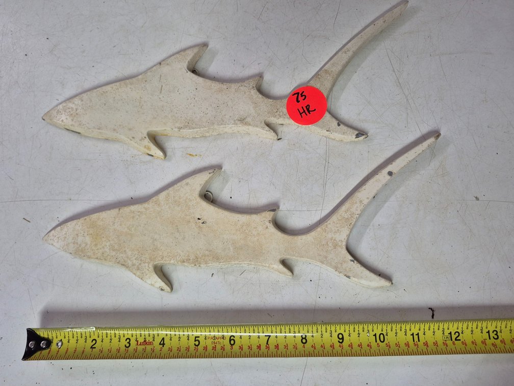 (2) 12" aluminum? Shark wall decor
