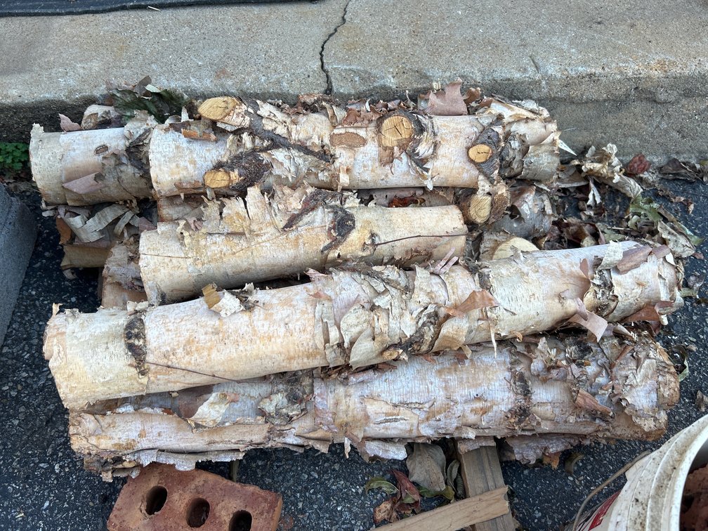 Birch Logs