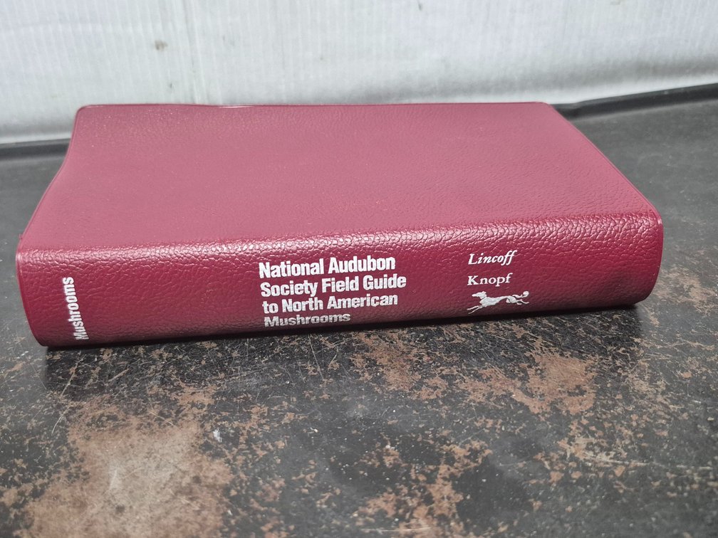 National Audubon field guide to mushrooms