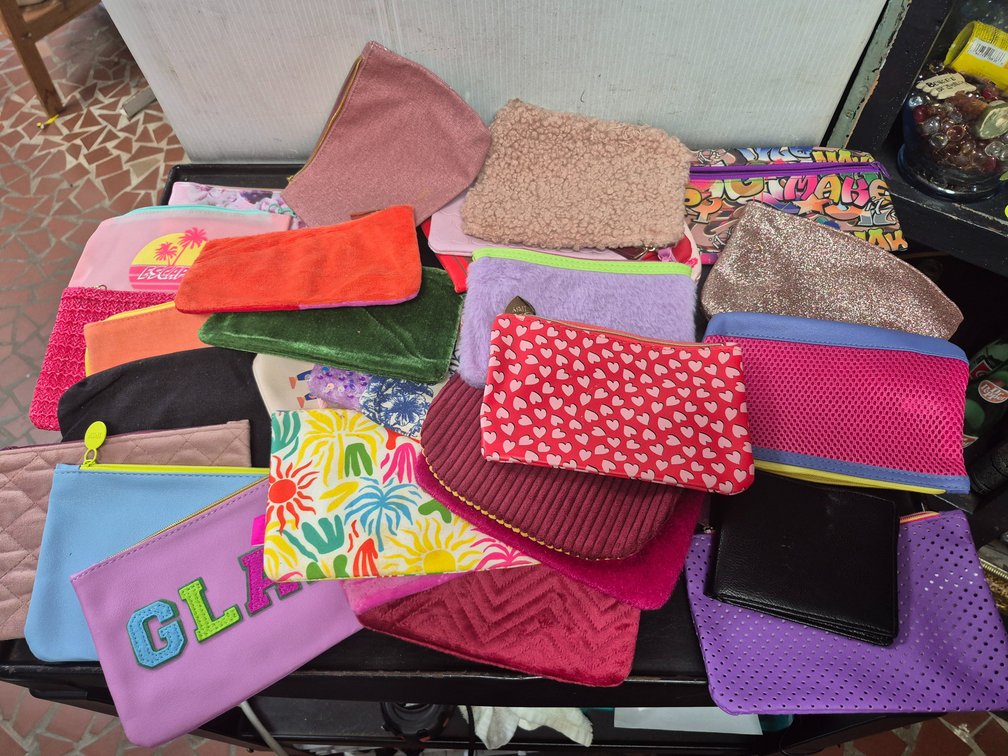 Big lot of makeup/travel bags, wallet++