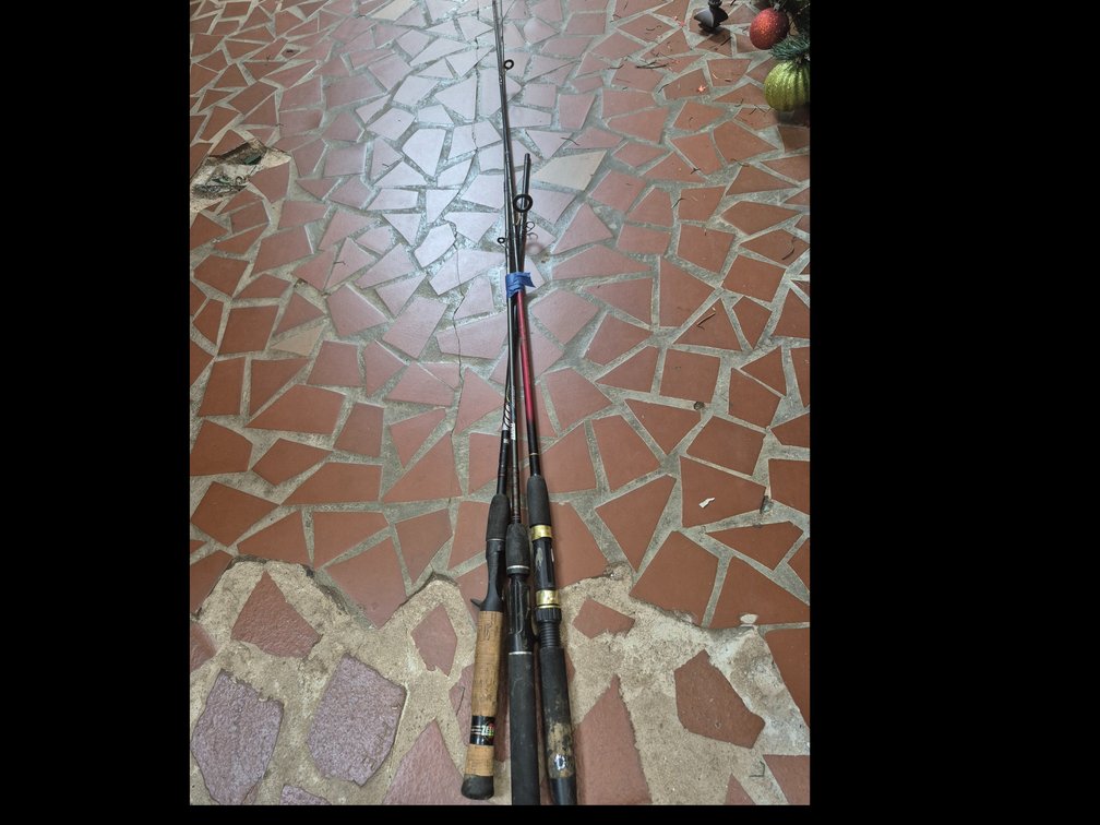 Zebco and Lake & Stream fishing rods