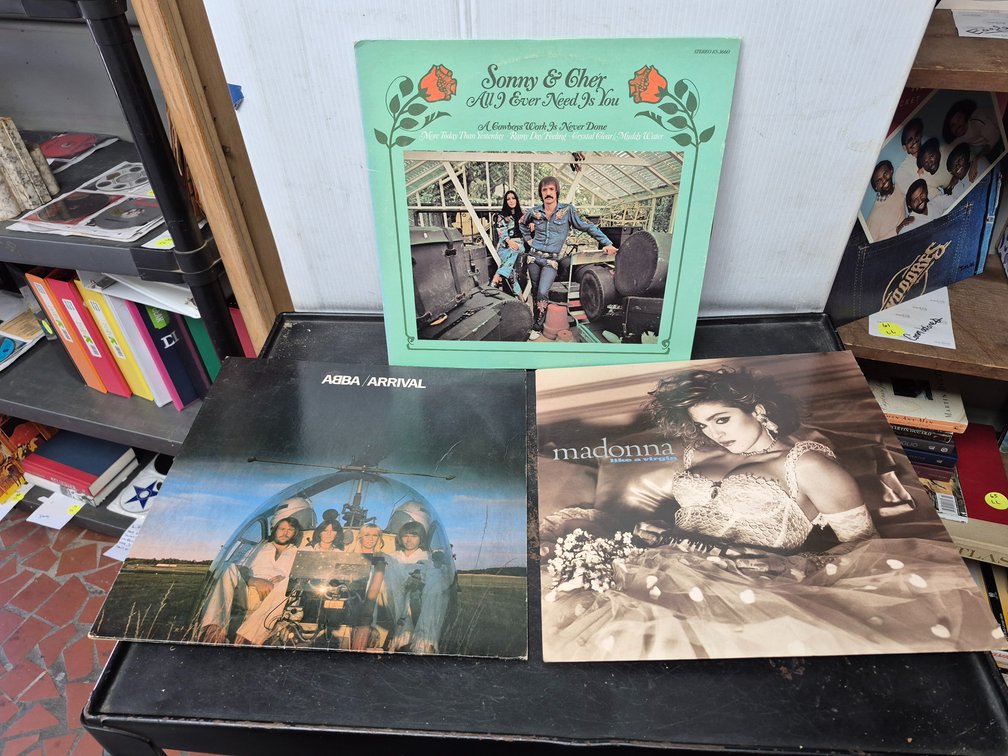 Madonna, ABBA, Sonny & Cher vinyl LP record albums