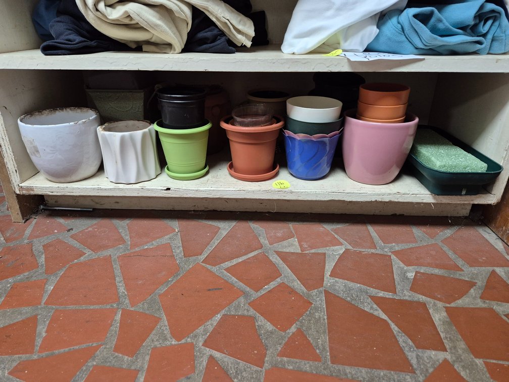 Shelf of assorted small planters