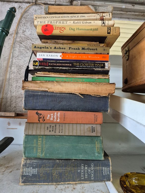 Vintage book lot