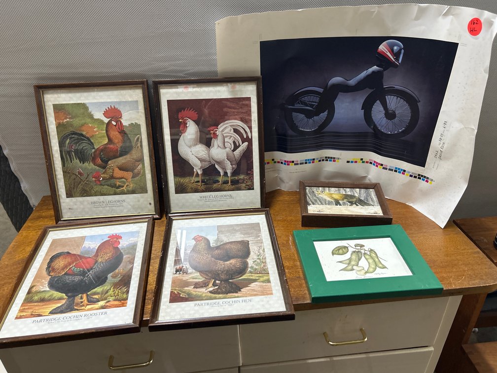 Framed Rooster Pictures++