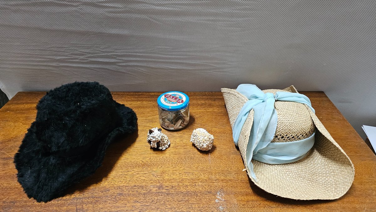 Shell decor/women's hats