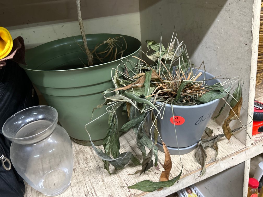 Planters