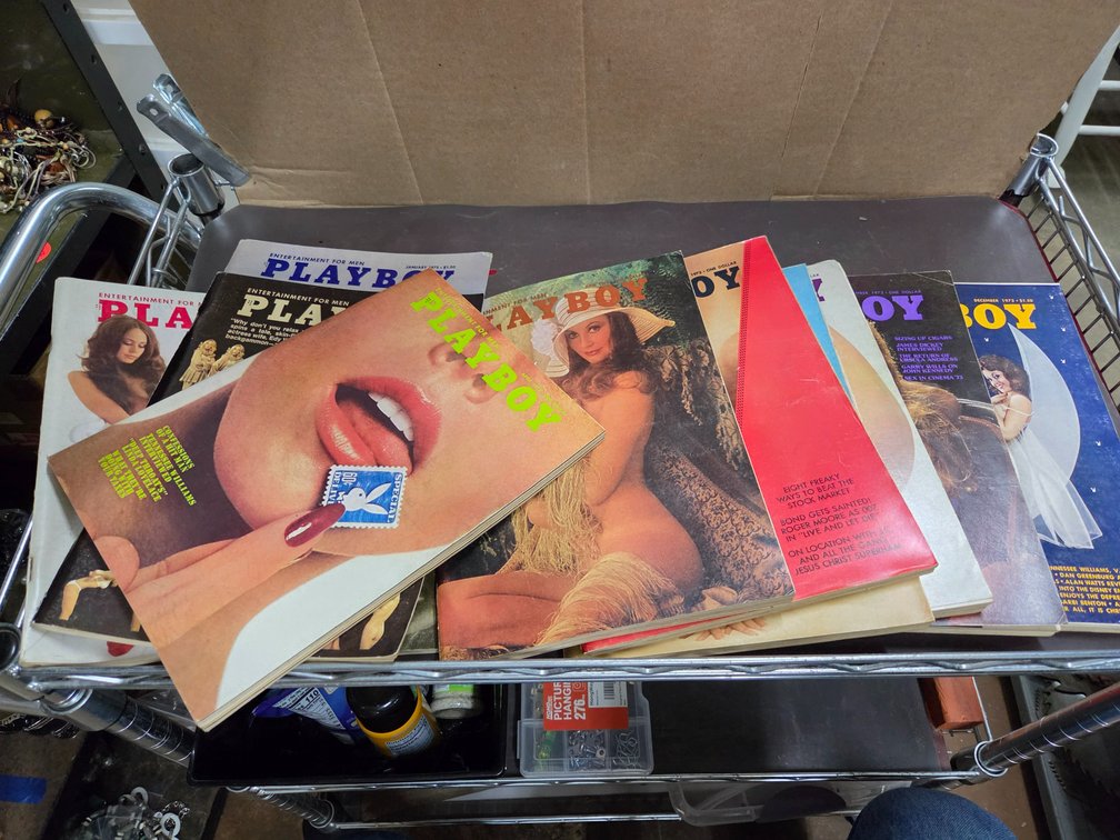 1973 Playboy vintage magazines