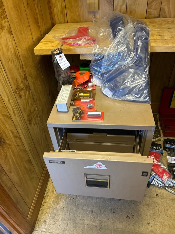 Hercules Fire Resistant Cabinet