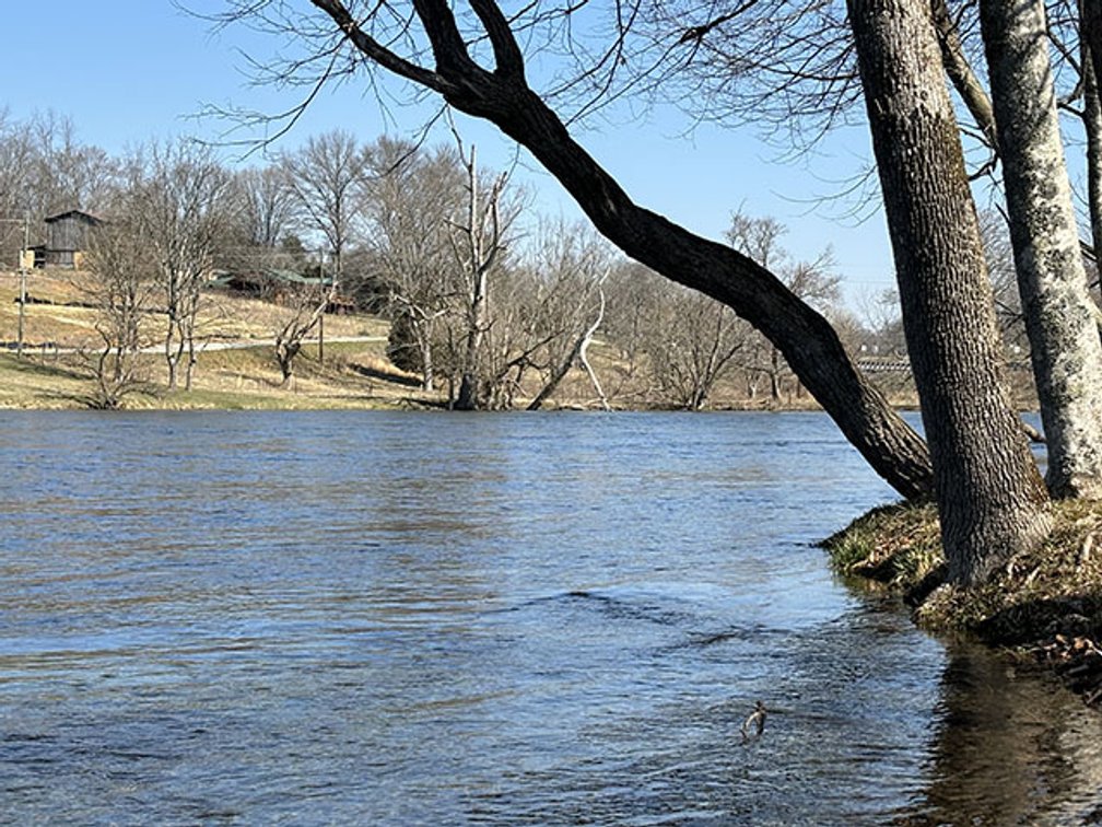Image for 1448 HICKORY TREE ROAD     BRISTOL, TN 37620