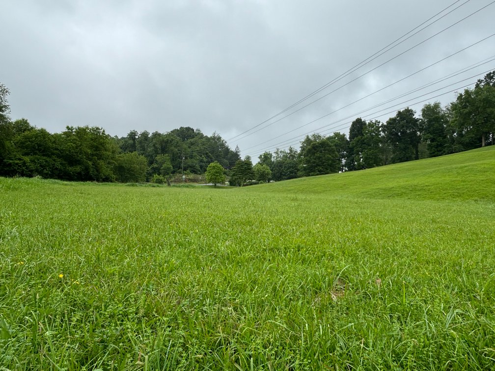 Image for BORDWINE ROAD  BRISTOL, VA 24202