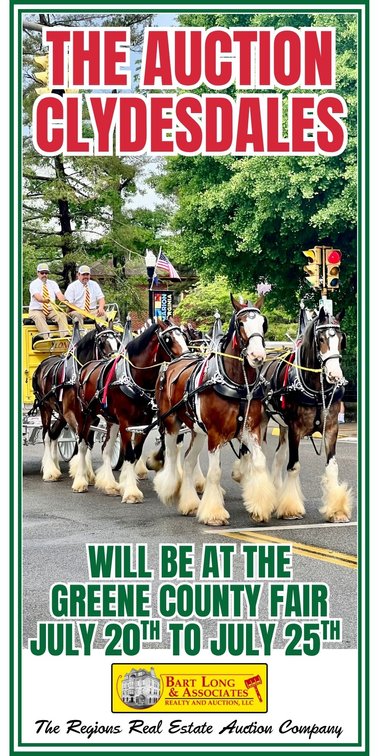 Image for The Auction Clydesdales Greene County Fair