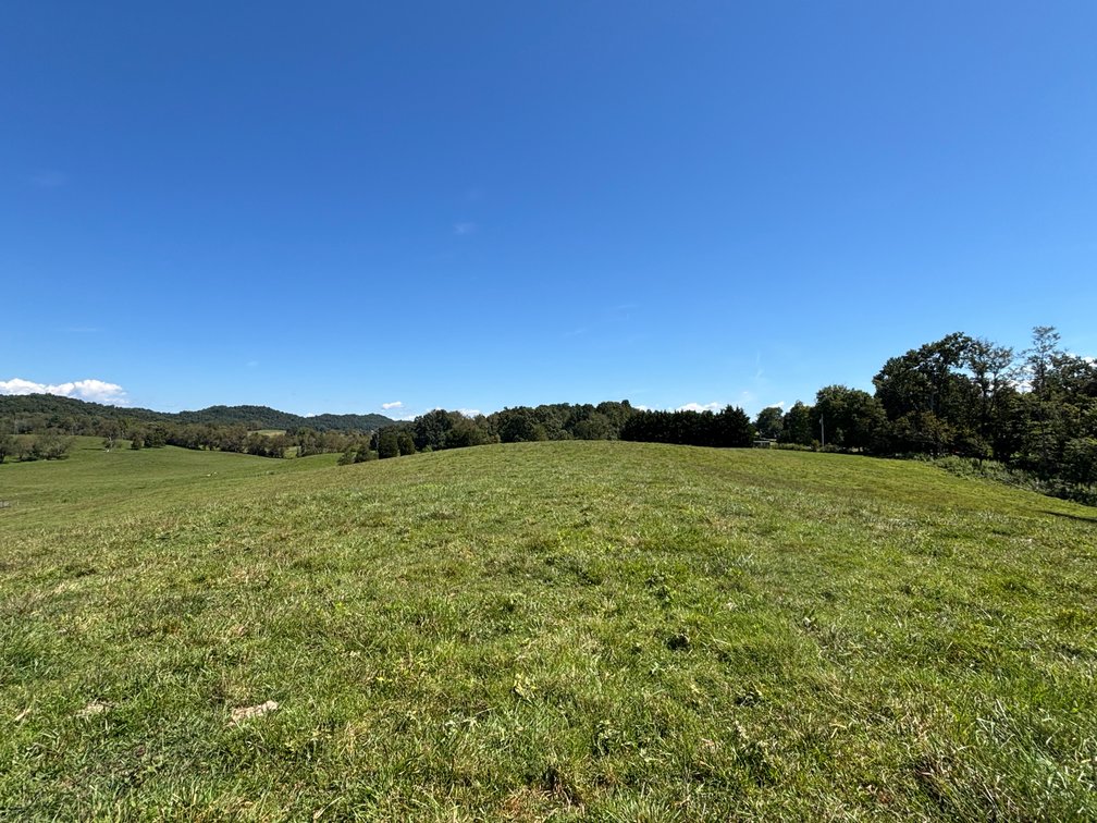 Image for 29003 RHEA VALLEY ROAD  MEADOWVIEW, VA 24361