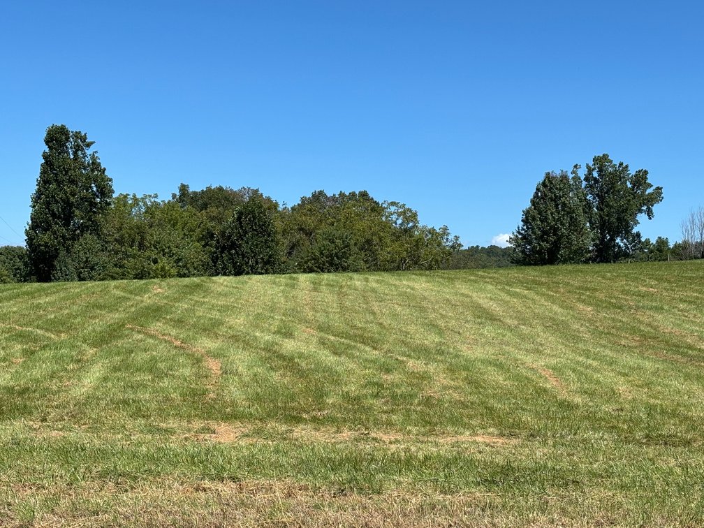 Image for 29003 RHEA VALLEY ROAD  MEADOWVIEW, VA 24361