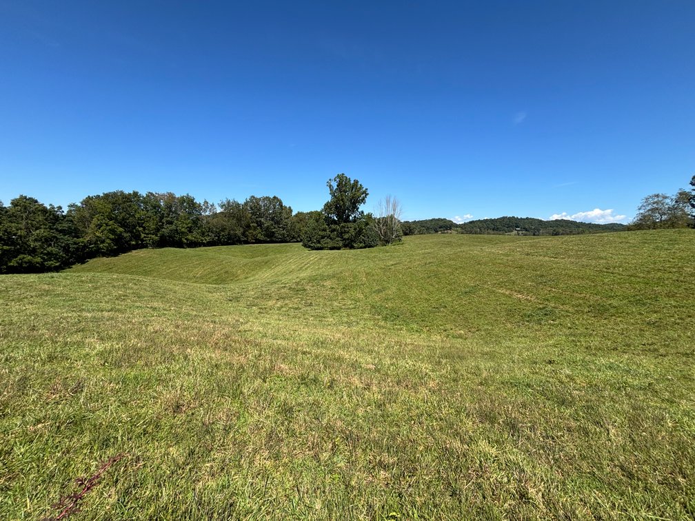 Image for 29003 RHEA VALLEY ROAD  MEADOWVIEW, VA 24361