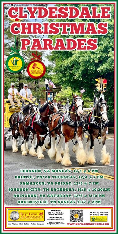 Image for CLYDESDALE  CHRISTMAS  PARADES