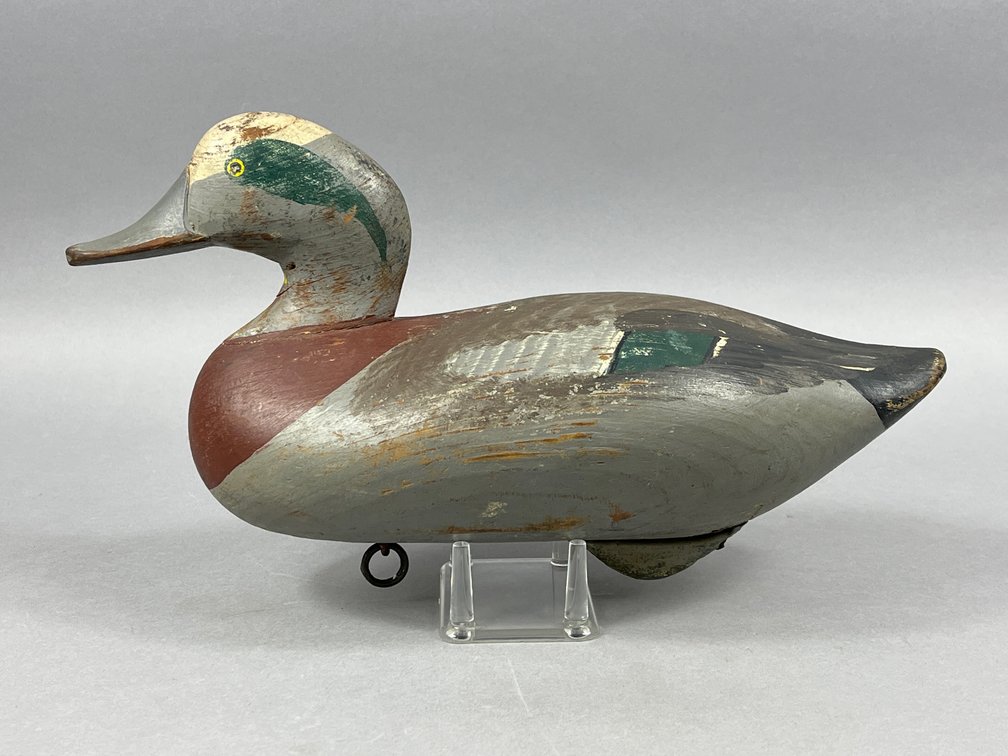 Widgeon by R Madison Mitchell