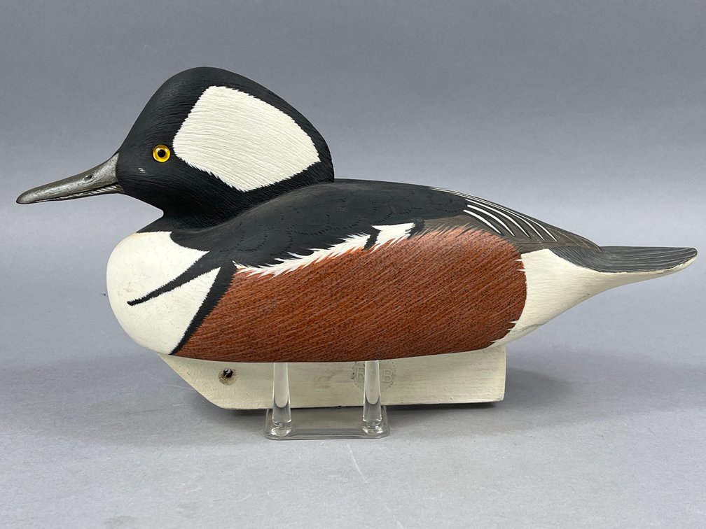 Hooded Merganser by Robert Bodnar