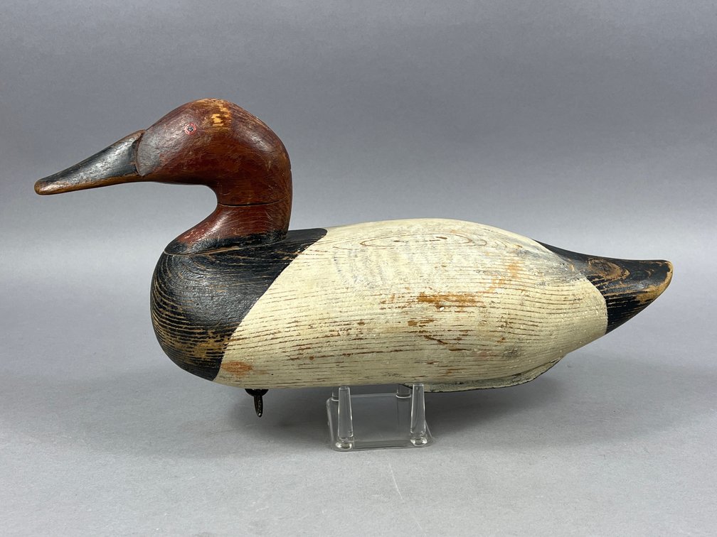 Canvasback by Robert McGaw