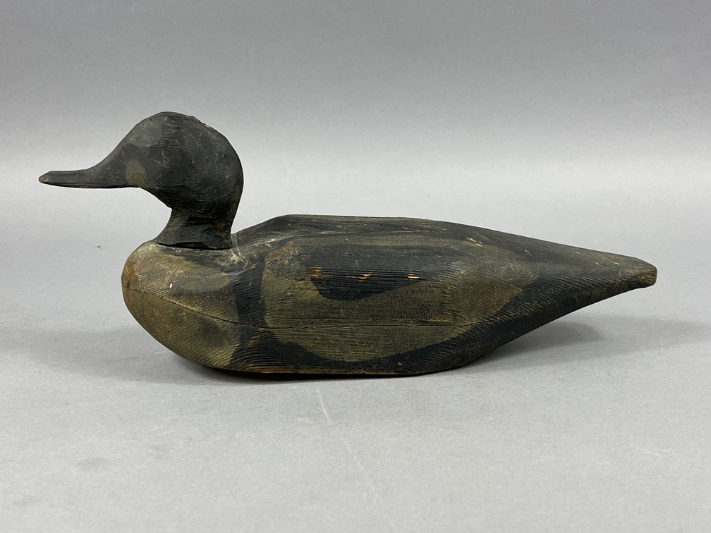 Goldeneye from New England 