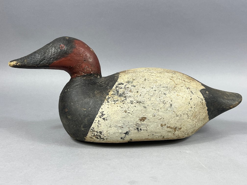 Canvasback from Evans Decoy Factory 