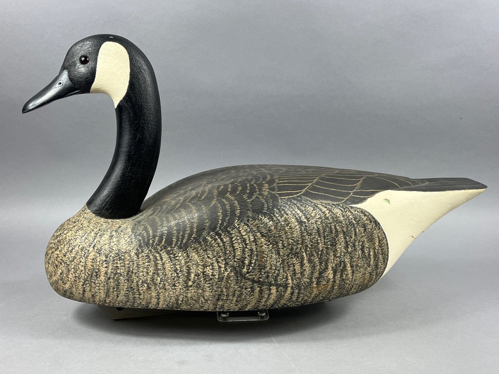 Canada Goose by Robert Bodnar