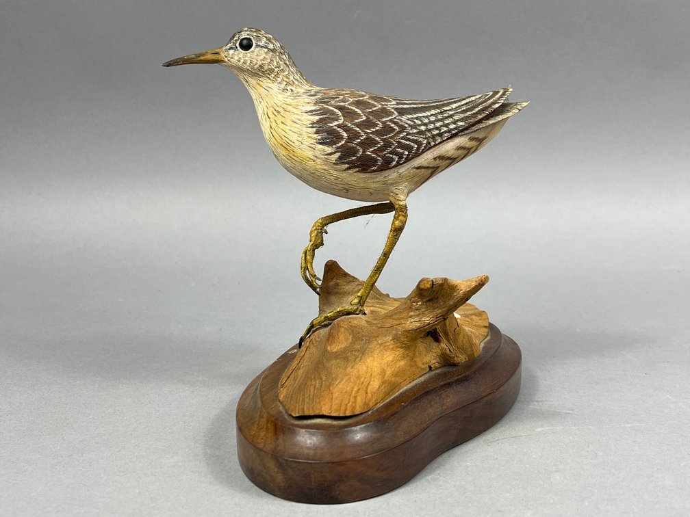 Sandpiper by Pete Miccichi