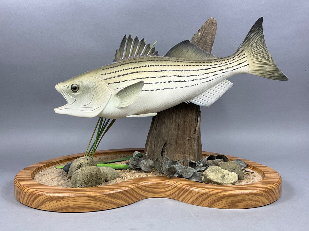 Striped Bass Carving 