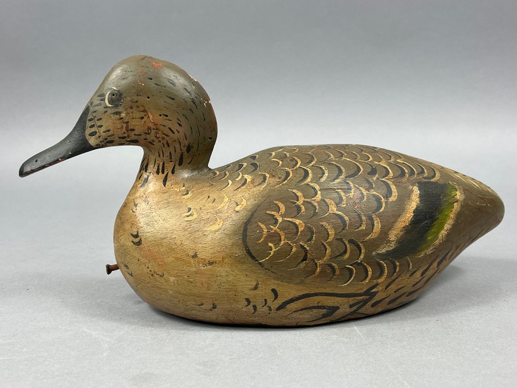 Hen Green Wing Teal Unknown 